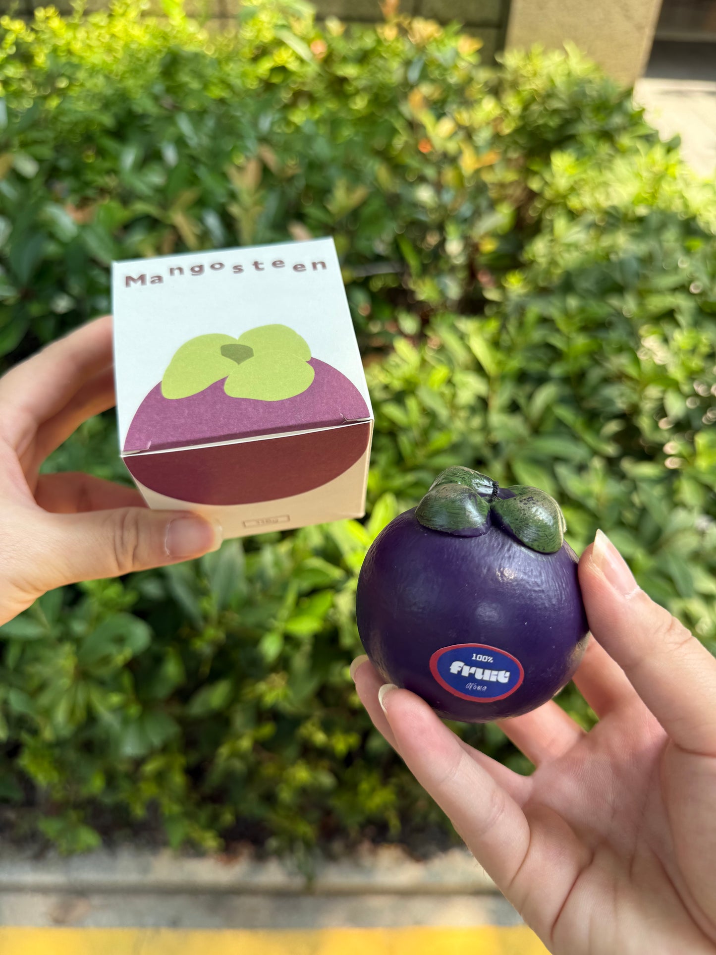 Mangosteen scented candle